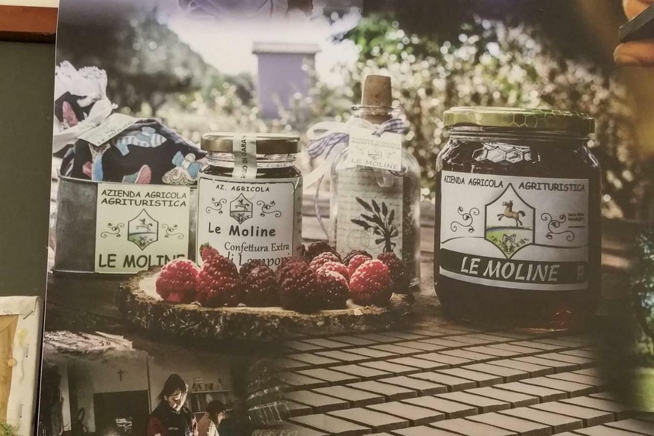 Piccolo Casale A "Le Moline" In Una Vera Fattoria Vetralla Kültér fotó