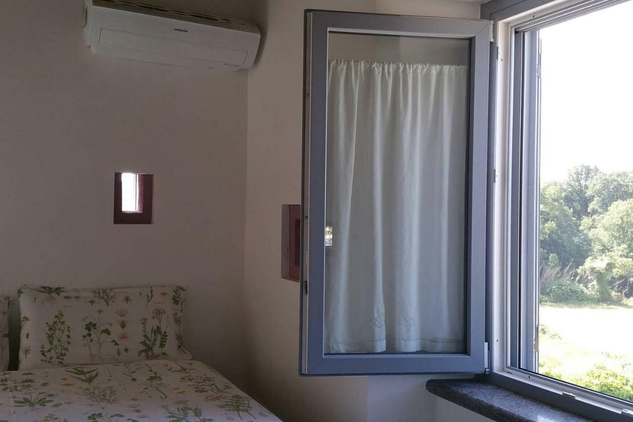 Piccolo Casale A "Le Moline" In Una Vera Fattoria Vetralla Kültér fotó