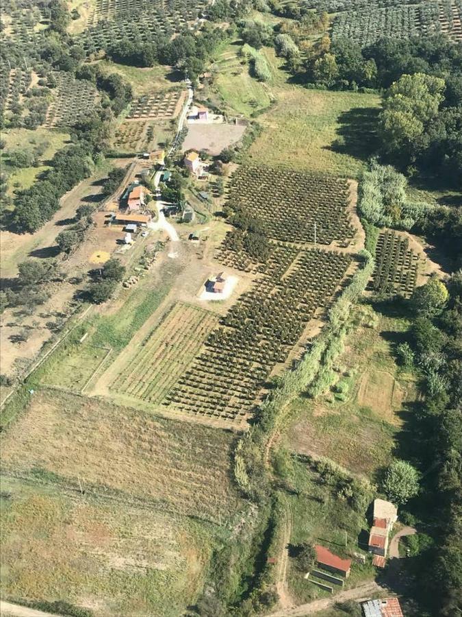 Piccolo Casale A "Le Moline" In Una Vera Fattoria Vetralla Kültér fotó