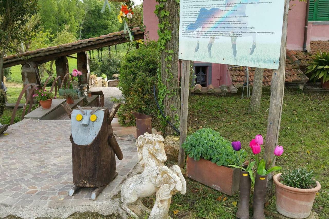 Piccolo Casale A "Le Moline" In Una Vera Fattoria Vetralla Kültér fotó