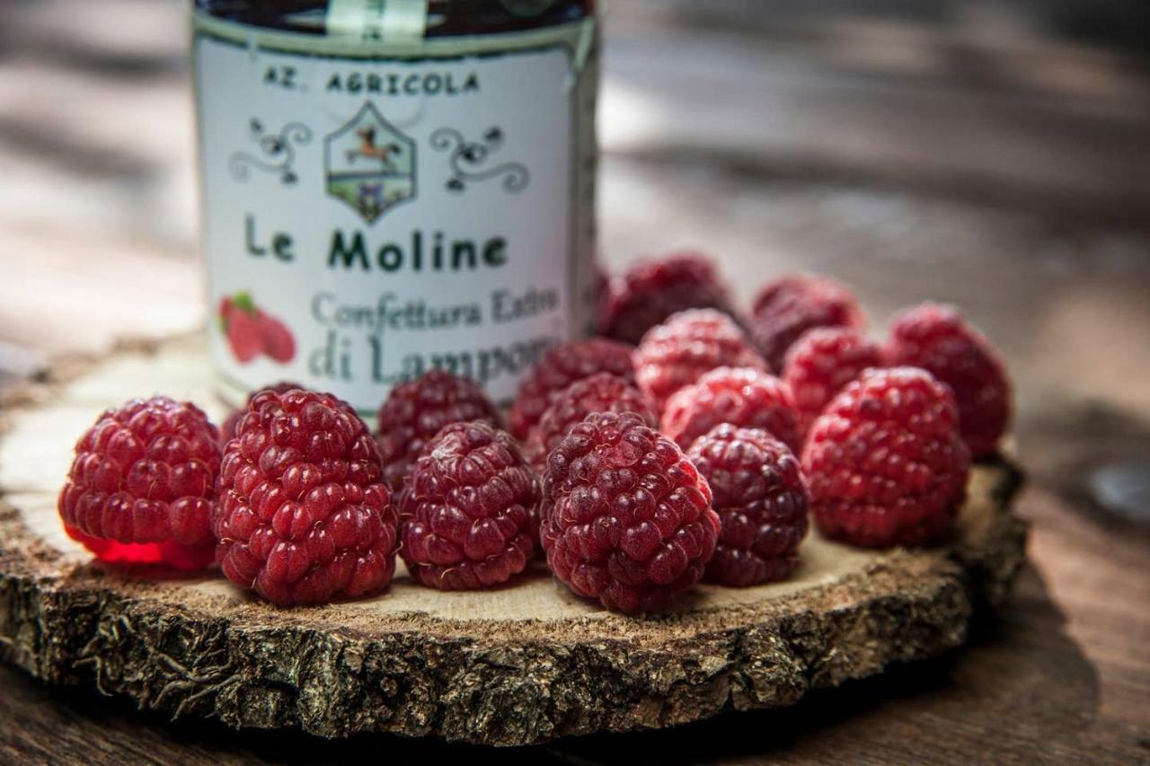 Piccolo Casale A "Le Moline" In Una Vera Fattoria Vetralla Kültér fotó