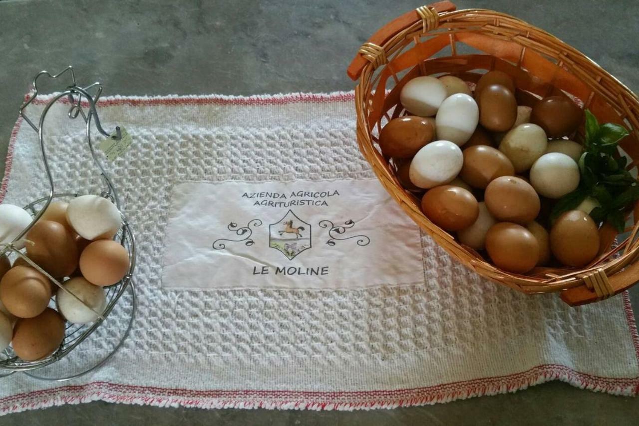 Piccolo Casale A "Le Moline" In Una Vera Fattoria Vetralla Kültér fotó